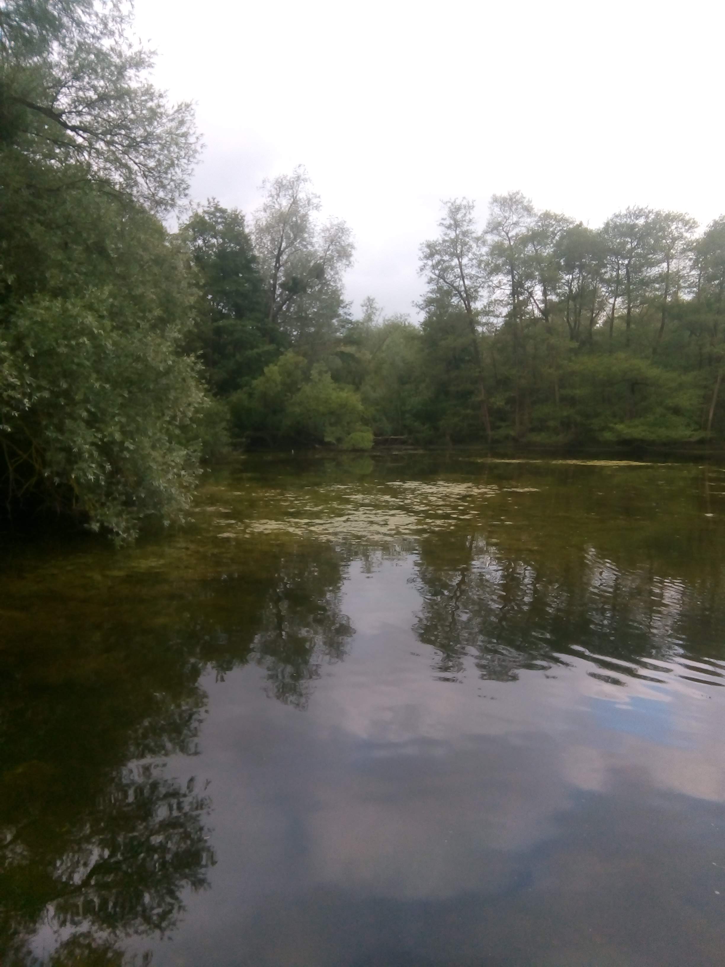 Photo n° 1 de l'avis de Bernard.a fait le 11/06/2019 à 06:33