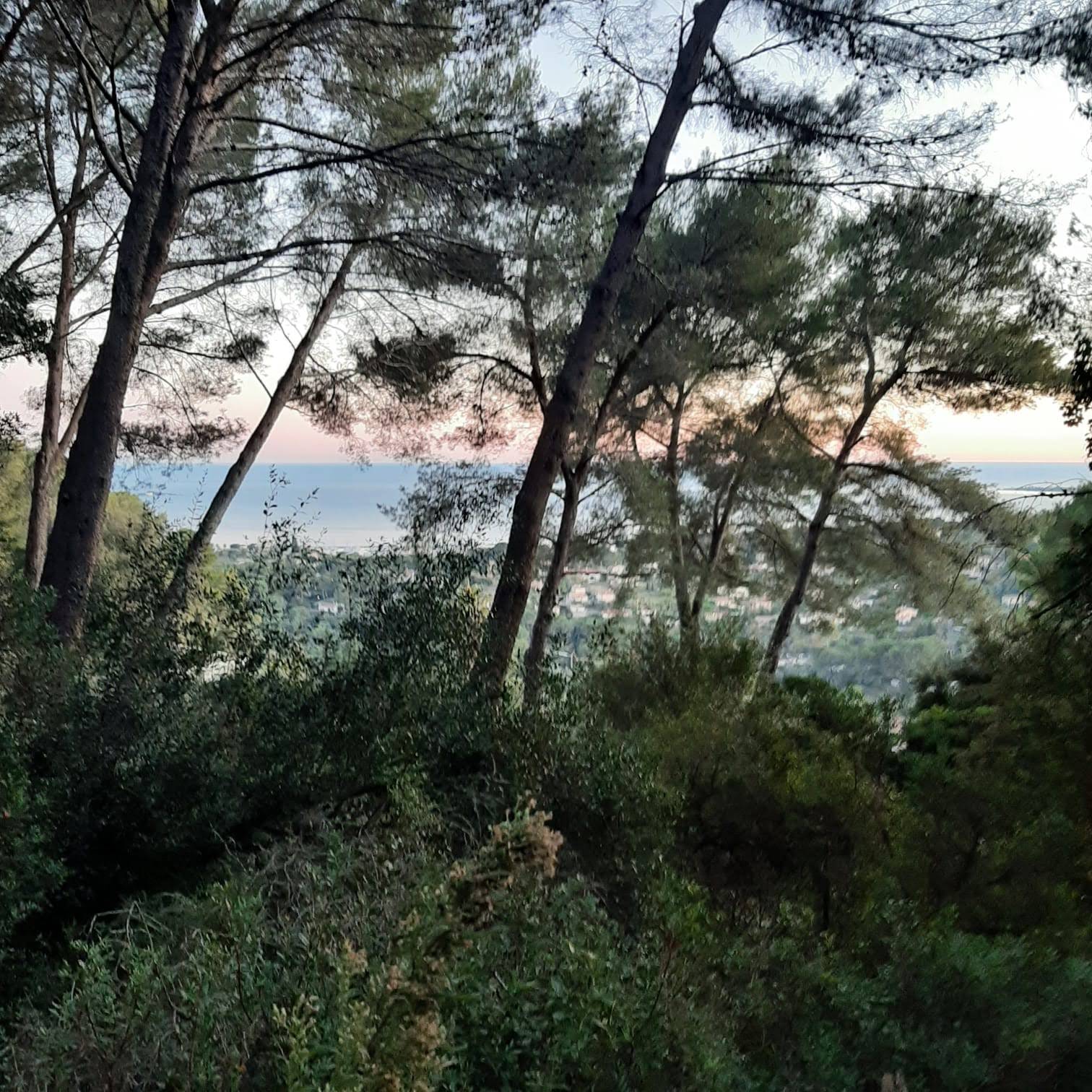 Photo n° 3 de l'avis de Mlle.a fait le 17/12/2021 à 08:05