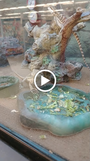 Pet Supply Store «Petco Animal Supplies», reviews and photos, 35 Waite Ave N, Waite Park, MN 56387, USA