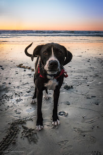 Jensy Padilla Photography - Photo 6 - Car repair in , Brockton