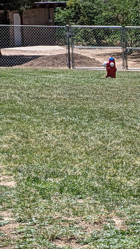 Park «Lewis Kingman Park», reviews and photos, 2201 E Andy Devine Ave, Kingman, AZ 86401, USA