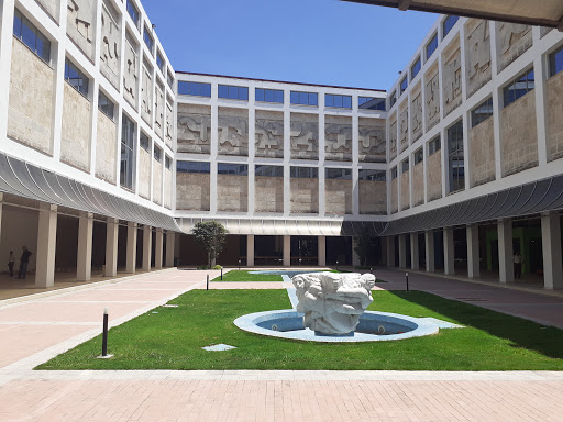 Museo Nacional de Bellas Artes (arte cubano)