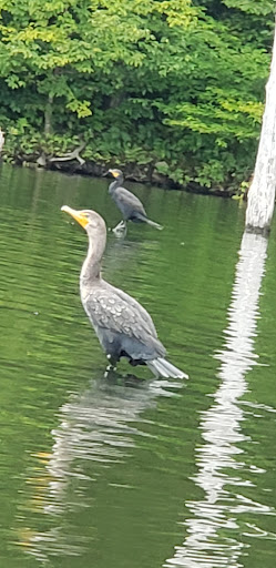 Tourist Attraction «Monksville reservoir», reviews and photos, 111 Beech Rd, Hewitt, NJ 07421, USA