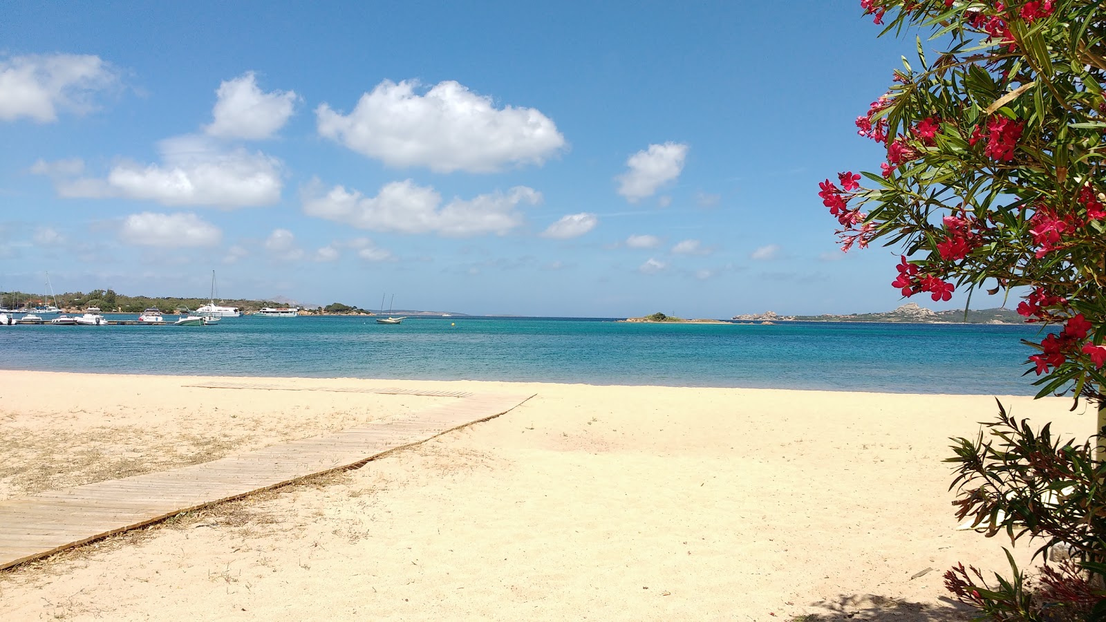 Spiaggia di La Conia'in fotoğrafı imkanlar alanı