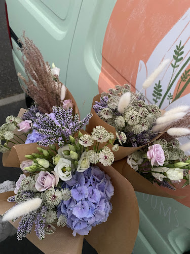 Reviews of Eva Lily Blooms in Norwich - Florist