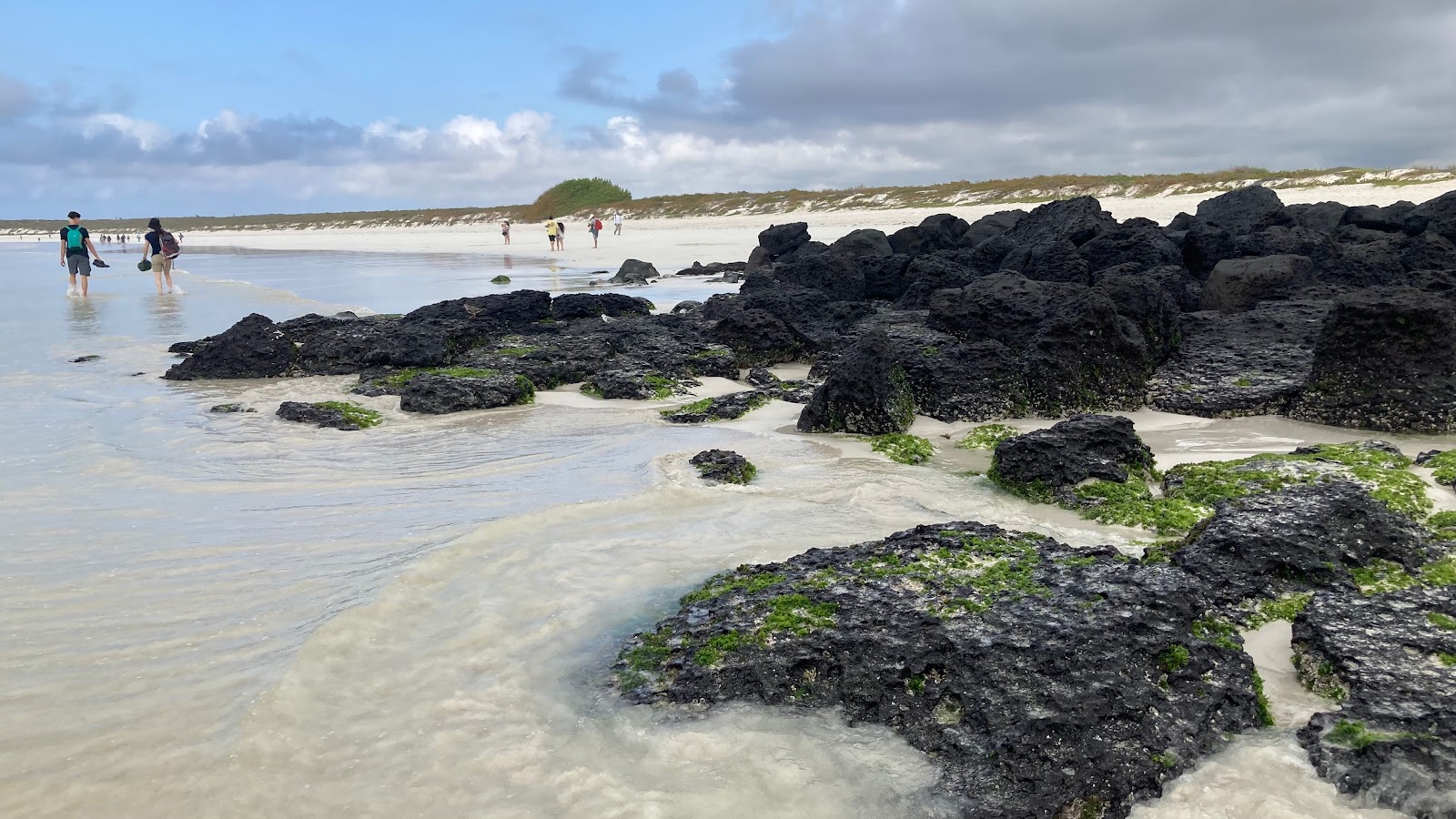 Zdjęcie Tortuga Bay Galapagos obszar udogodnień
