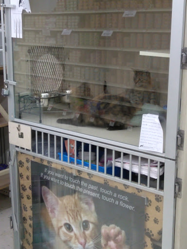 Pet Supply Store «Pet Supplies Plus», reviews and photos, 2155 Delaware Ave, Buffalo, NY 14216, USA