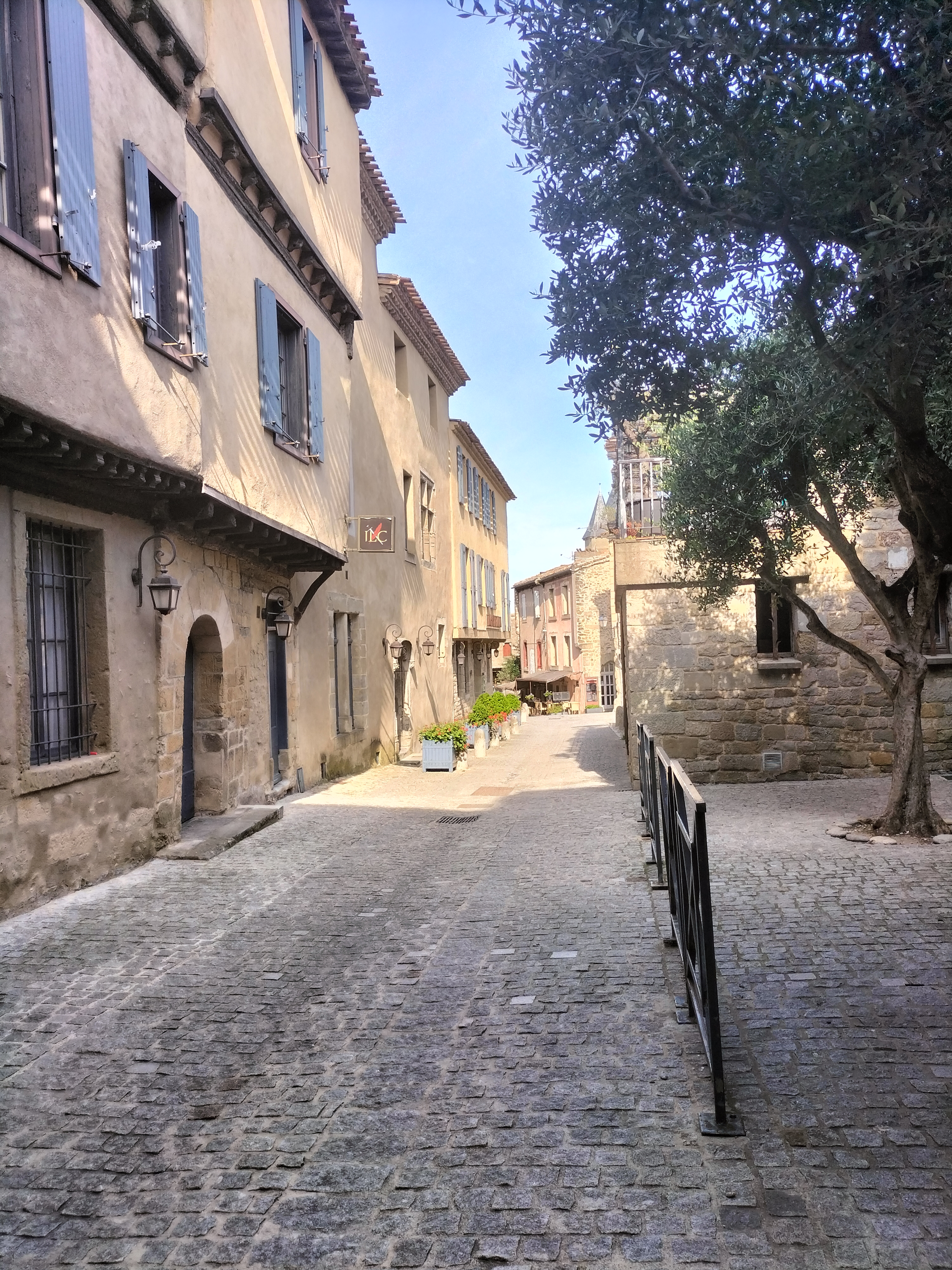 Photo n° 7 de l'avis de Élevage.a fait le 17/06/2023 à 09:25