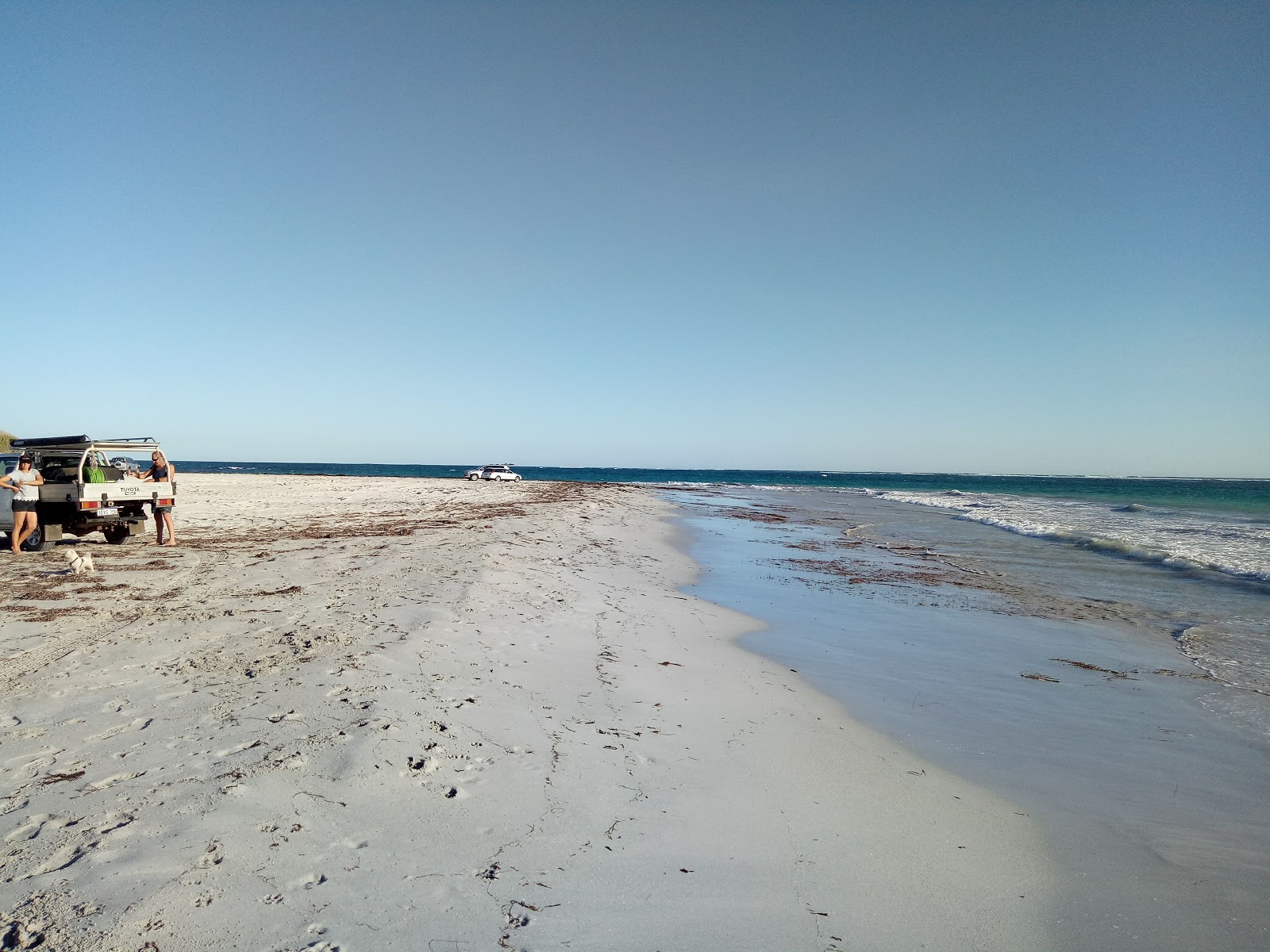 Greys Beach的照片 具有非常干净级别的清洁度