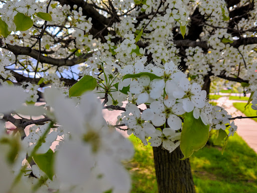 Car Dealer «Jim Causley Buick GMC Truck», reviews and photos, 38111 S Gratiot Ave, Charter Twp of Clinton, MI 48036, USA
