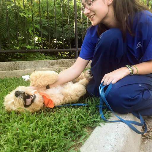 Centerville Animal Hospital image