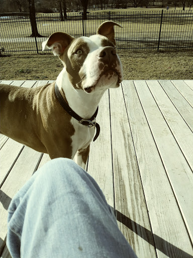 Golf Course «Page Belcher Golf Course», reviews and photos, 6666 S Union Ave, Tulsa, OK 74132, USA