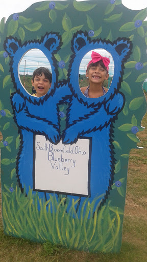 Produce Market «Blueberry Valley», reviews and photos, 14337 US-23, Ashville, OH 43103, USA