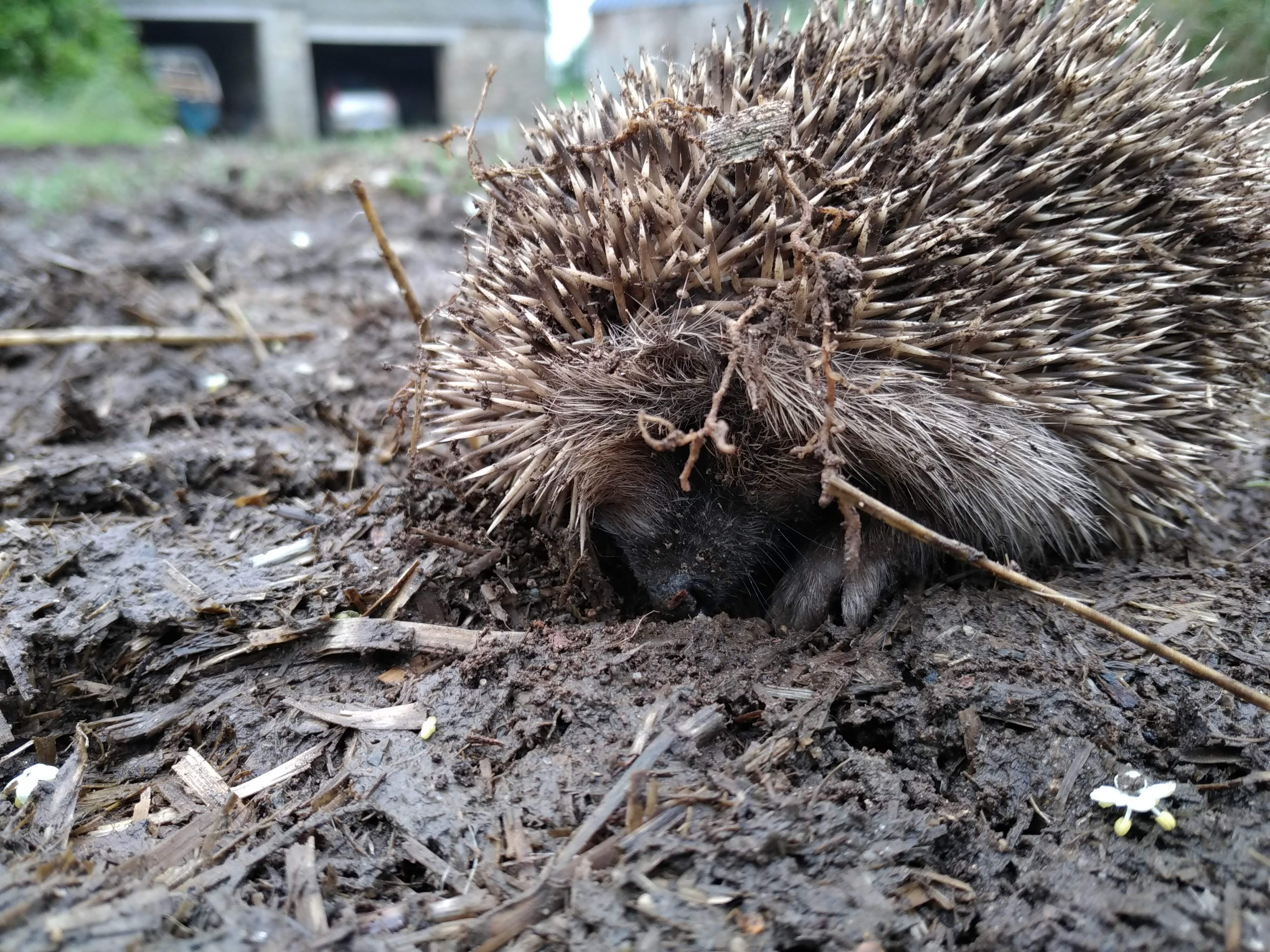 Photo n° 1 de l'avis de nicolas.v fait le 12/06/2018 à 09:24