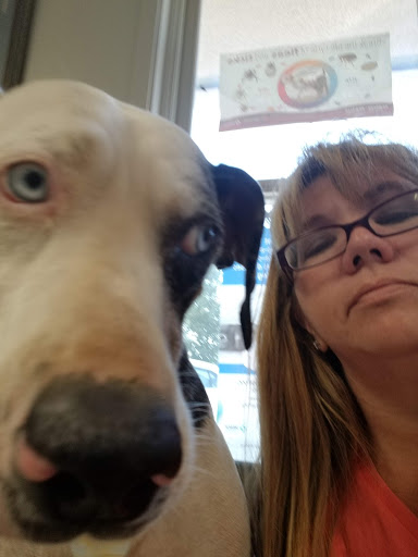 South County Veterinary Hospital image