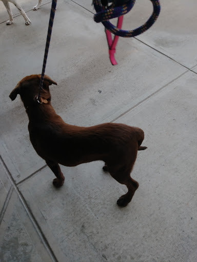 Pet Supply Store «Petco Animal Supplies», reviews and photos, 300 Quaker Ln #3, Warwick, RI 02886, USA