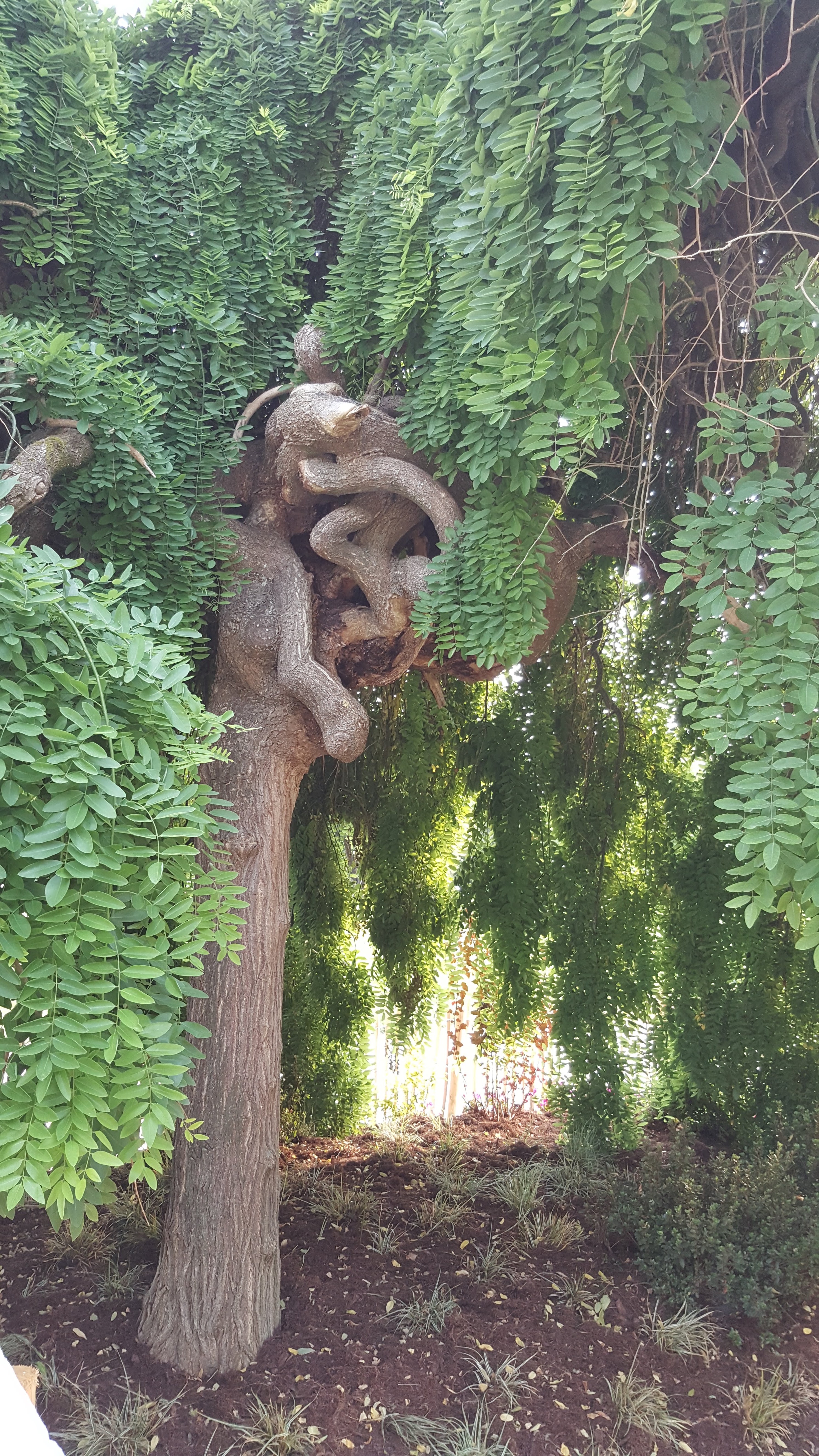 Photo n° 3 de l'avis de Dauris.Regine.d fait le 30/06/2019 à 19:40