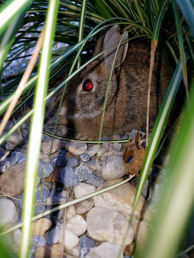 Kia Dealer «Kia of Waldorf», reviews and photos, 3188 Crain Hwy, Waldorf, MD 20603, USA