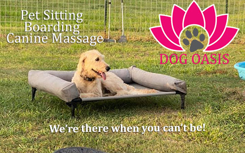 Dog Oasis Boarding, Pet Sitting and Canine Massage