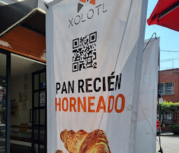 XOLOTL \