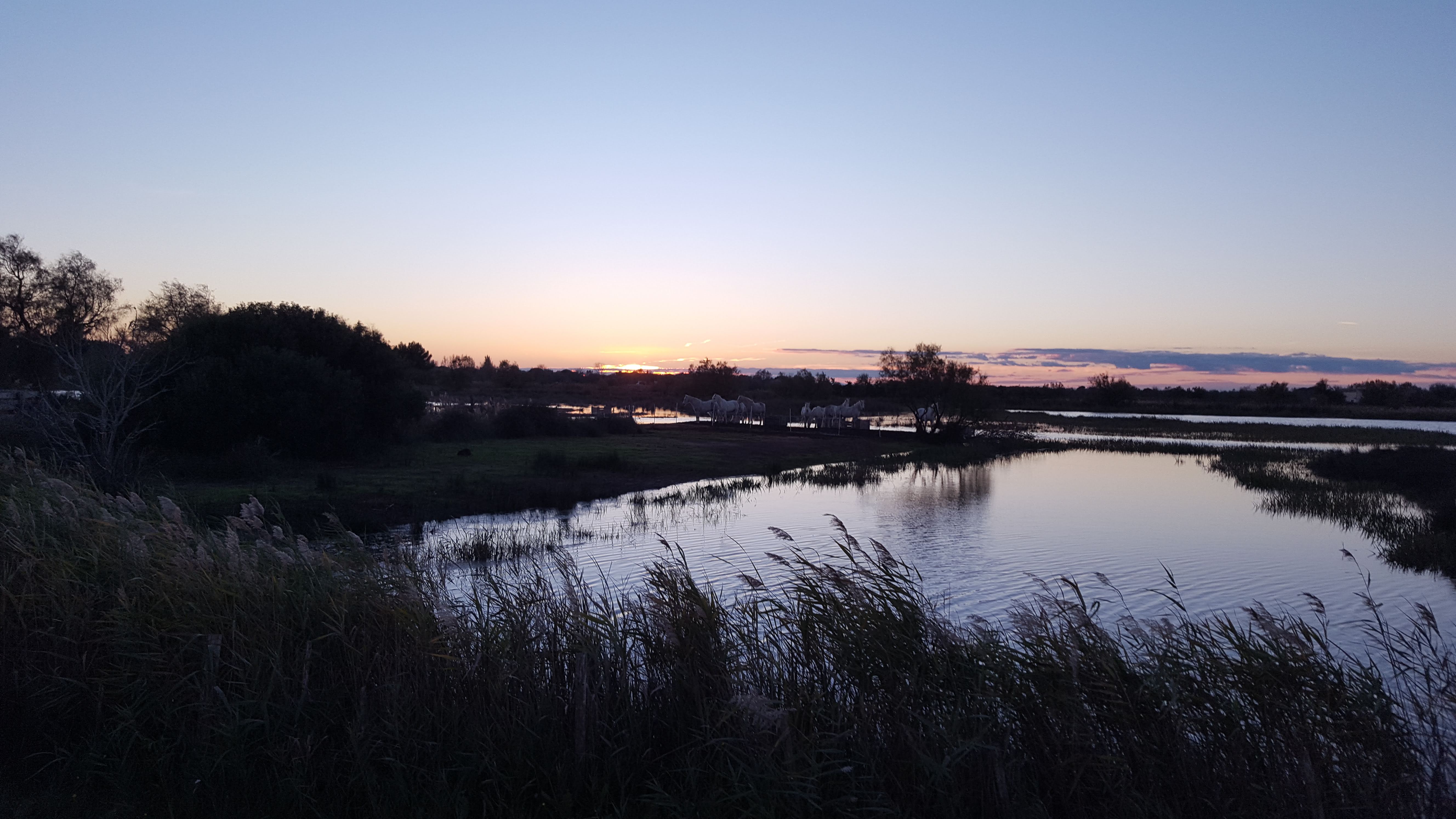 Photo n° 3 de l'avis de Nico.A fait le 10/11/2018 à 12:37