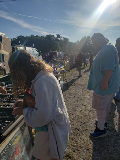 Flea Market «Armada Flea Market», reviews and photos, 25381 Armada Ridge Rd, Richmond, MI 48062, USA