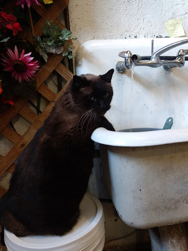 Florist «Green Acres Garden Center & Florist», reviews and photos, 1917 W 4th St, Coffeyville, KS 67337, USA