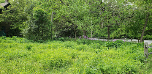 Nature Preserve «Eldora Nature Preserve», reviews and photos, 2350 NJ-47, Delmont, NJ 08314, USA