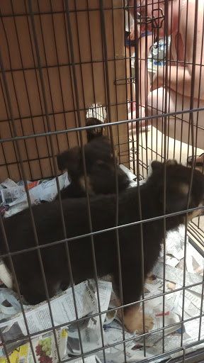 Pet Store «Liberty Agway Pet Center», reviews and photos, 11 Bon Jovi Ln, Liberty, NY 12754, USA