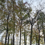 Photo n°2 de l'avis de Rupa. fait le 18/11/2022 à 14:54 sur le  Schloss Basthorst à Crivitz