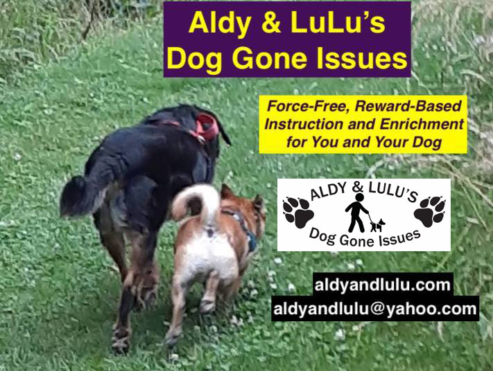 Aldy & LuLu's Dog Gone Issues