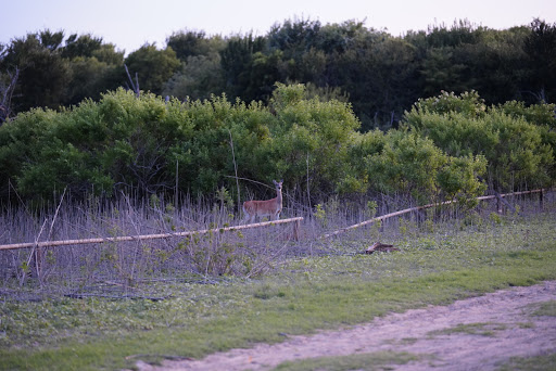 Park «Trophy Club Park», reviews and photos, 2885 Trophy Park Dr, Trophy Club, TX 76262, USA