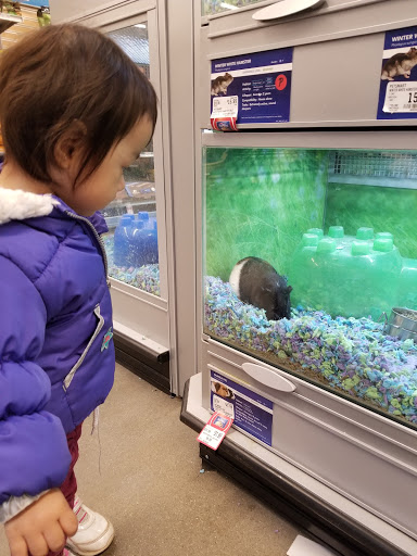 Pet Store «PetSmart», reviews and photos, 160 Passaic Ave #5, Kearny, NJ 07032, USA