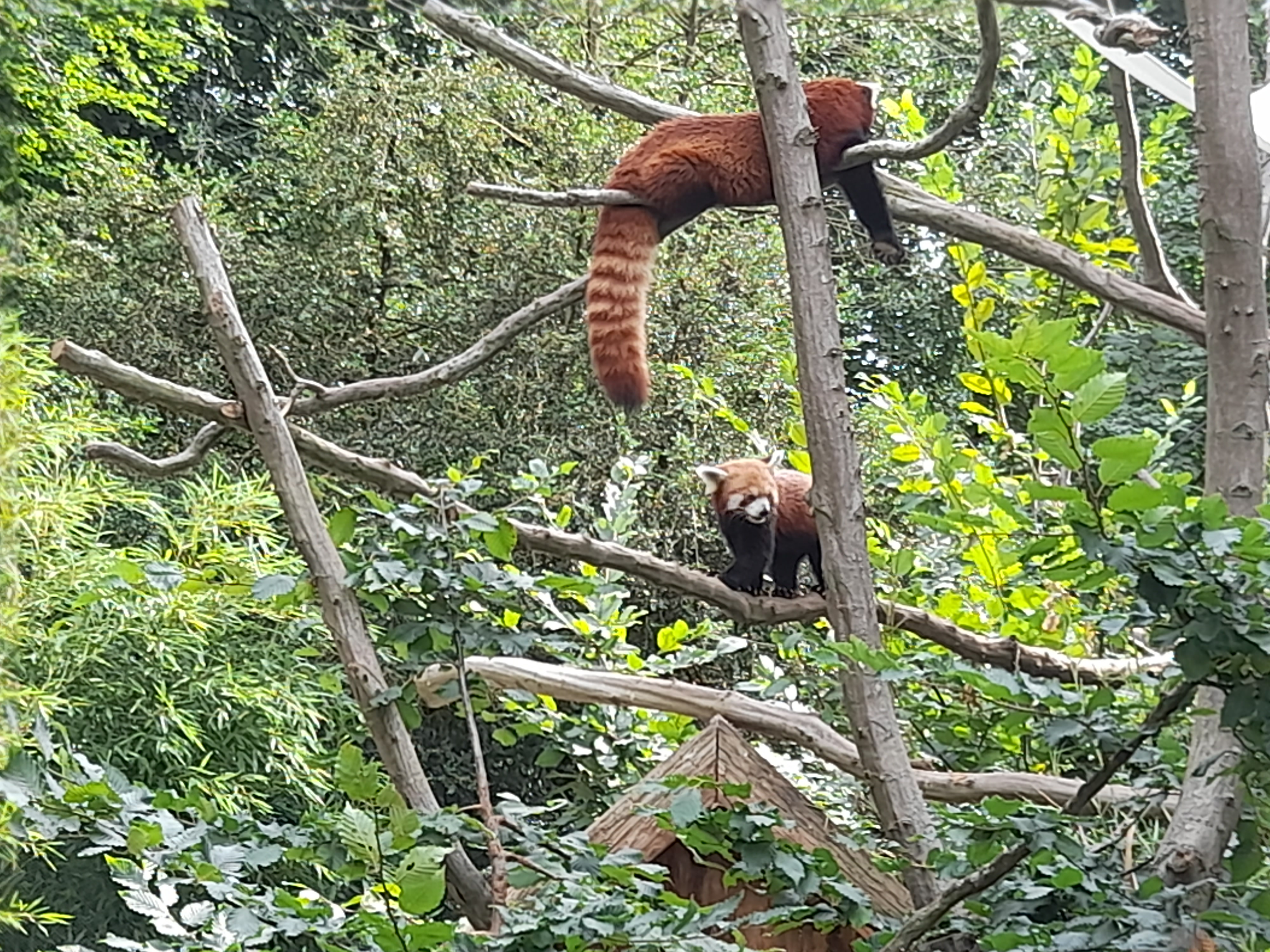Photo n° 7 de l'avis de pauline.o fait le 15/08/2022 à 18:00
