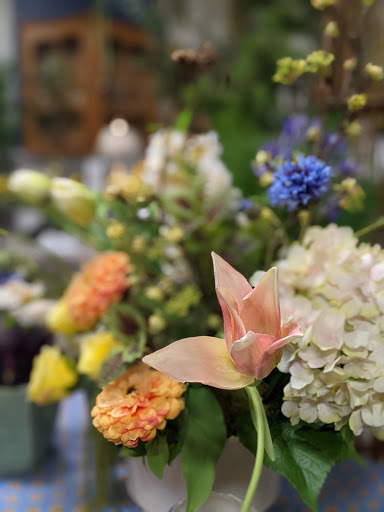 Florist «Wisteria Flowers & Gifts», reviews and photos, 360 Culver Rd, Rochester, NY 14607, USA