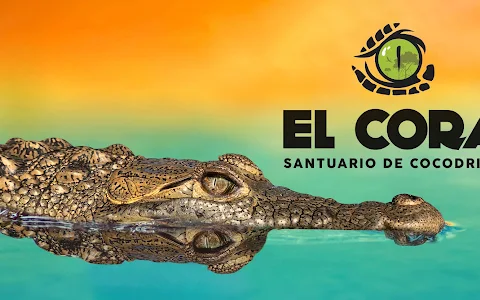 El Cora Crocodile Sanctuary image