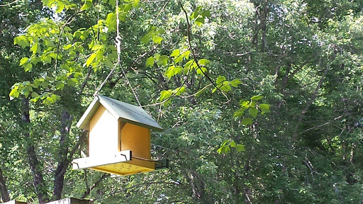 RV Park «Made In the Shade RV Park», reviews and photos, 6878 Granville Hwy, Granville, TN 38564, USA