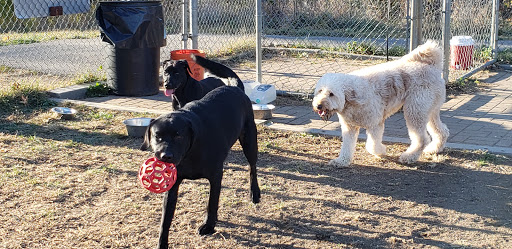 Dog Park «Worthington Off Leash Dog Park», reviews and photos, 8170 Hillsborough Rd, Ellicott City, MD 21043, USA