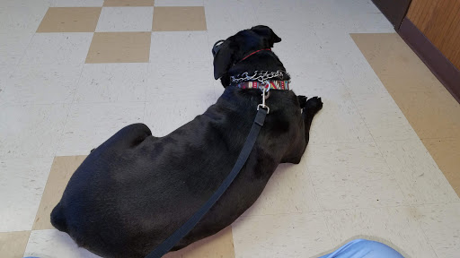 East Tennessee Veterinary Hospital image