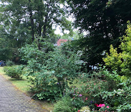 Park Lane Asset Management GmbH photo