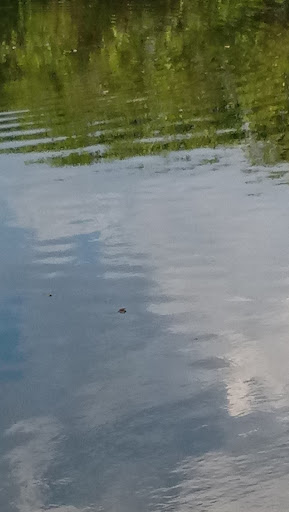 Recreation Center «Gardenville Recreation Center», reviews and photos, 6215 Symmes Rd, Gibsonton, FL 33534, USA