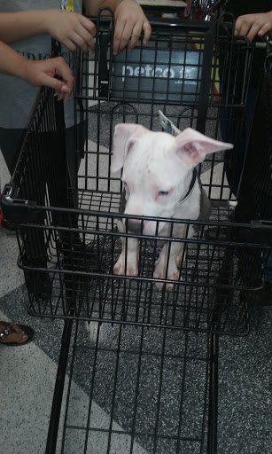 Pet Supply Store «Petco Animal Supplies», reviews and photos, 1060 U.S. 9, Parlin, NJ 08859, USA