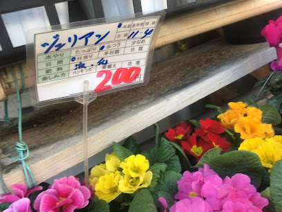 矢沢生花店