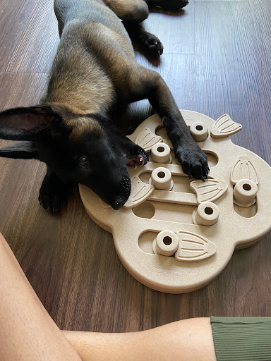 Pet Supply Store «Pet Supplies Plus», reviews and photos, 1704 Greenville Ave, Dallas, TX 75206, USA