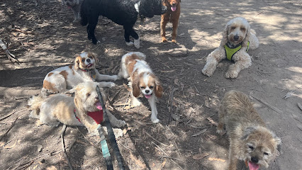 Wag2Apaws group nature hikes and pet sitting