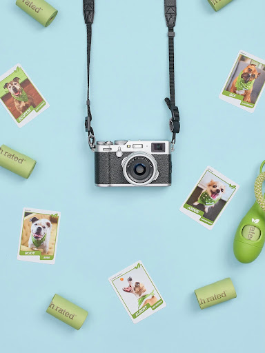 Pet Store «Pet Food Depot», reviews and photos, 17645 N Cave Creek Rd, Phoenix, AZ 85032, USA