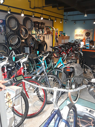 Bicycle Store «Pedego Electric Bikes of Myrtle Beach», reviews and photos, 3080 Deville St, Myrtle Beach, SC 29577, USA