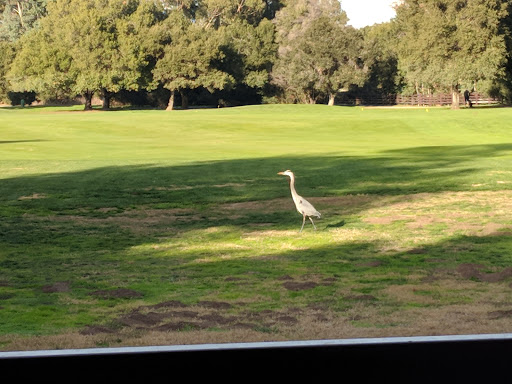 Golf Course «Stanford Golf Course», reviews and photos, 198 Junipero Serra Blvd, Stanford, CA 94305, USA