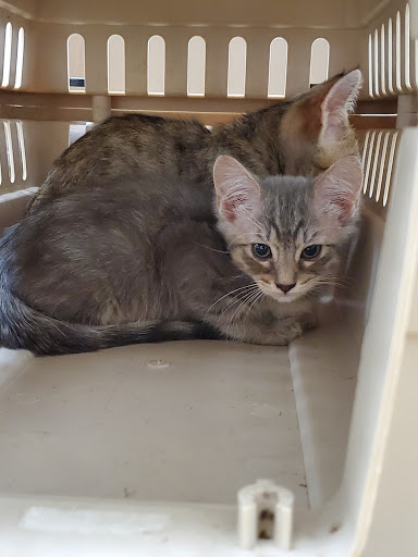 Pet Supply Store «Unleashed by Petco», reviews and photos, 600 Redondo Ave, Long Beach, CA 90814, USA