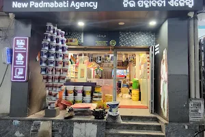 Asian Paints Colourideas - New Padmabati Agency image